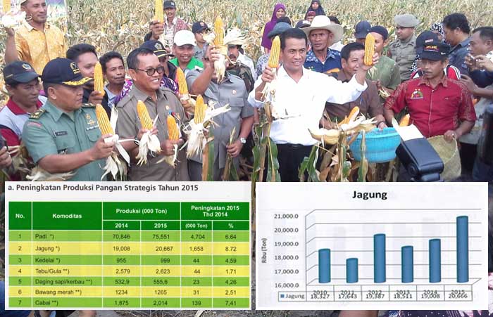 Produksi Jagung Indonesia 2016 Diperkirakan Tertinggi di Asia Tenggara